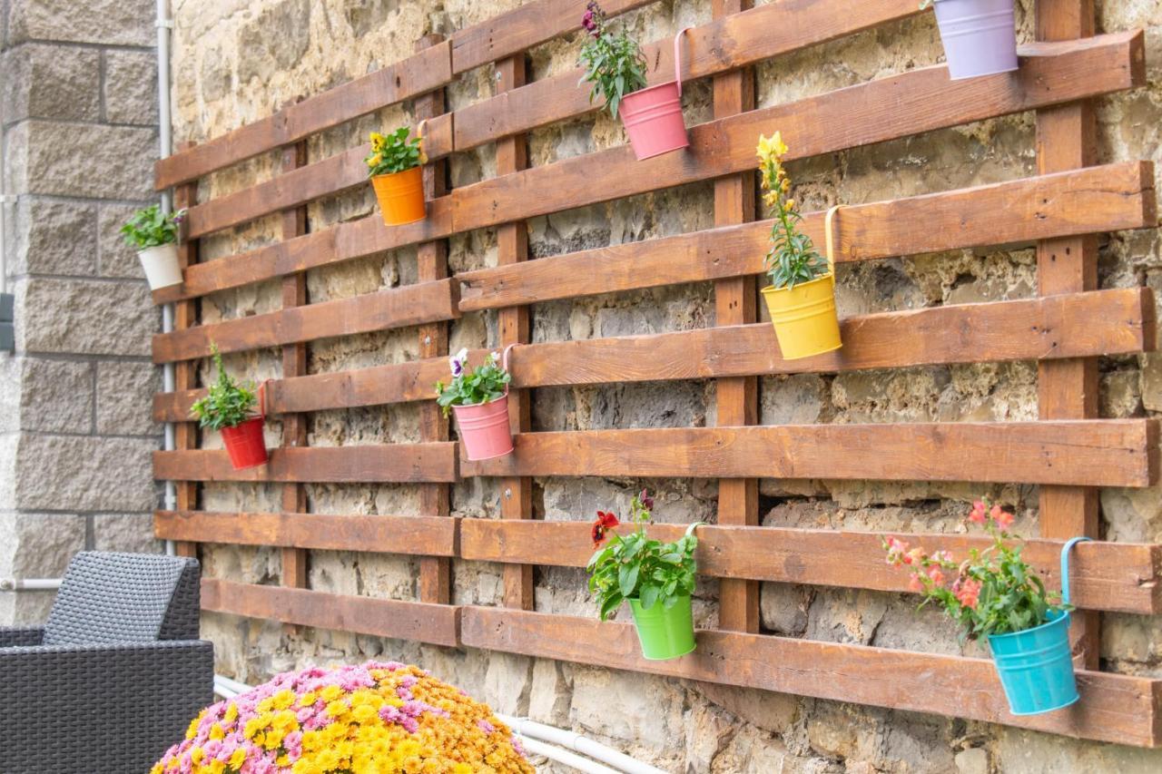 Acogedora Casa Rural Con Jardin Y Barbacoa Proxima A Pamplona Ilzarbe Ngoại thất bức ảnh